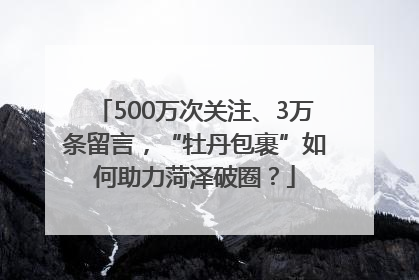 500万次关注、3万条留言，“牡丹包裹”如何助力菏泽破圈？