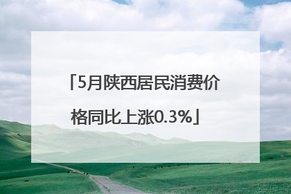5月陕西居民消费价格同比上涨0.3%