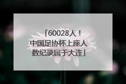 60028人！中国足协杯上座人数纪录属于大连
