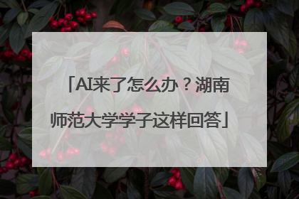 AI来了怎么办？湖南师范大学学子这样回答
