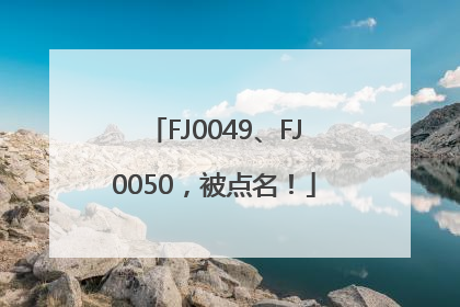 FJ0049、FJ0050，被点名！
