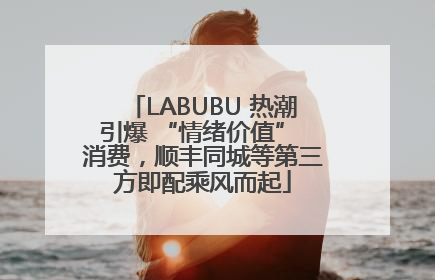 LABUBU 热潮引爆 “情绪价值” 消费，顺丰同城等第三方即配乘风而起
