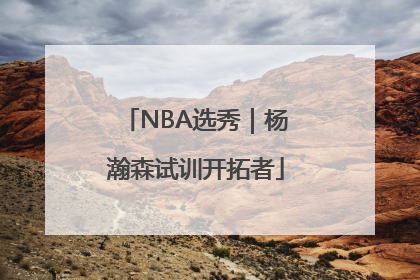 NBA选秀｜杨瀚森试训开拓者