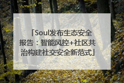 Soul发布生态安全报告：智能风控+社区共治构建社交安全新范式